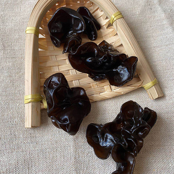 Black Fungus